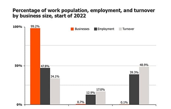 A graph showing the percentage of work population, employment and turnover by business size at the start of 2022.