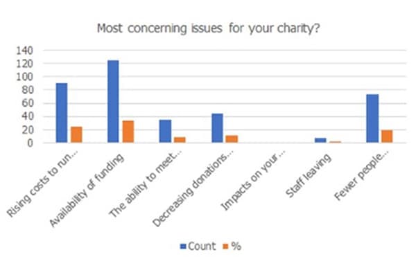A bar chart graph showing the most concerning issues for charities.