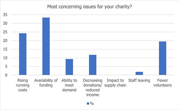 A graph showing the most concerning issues for charities