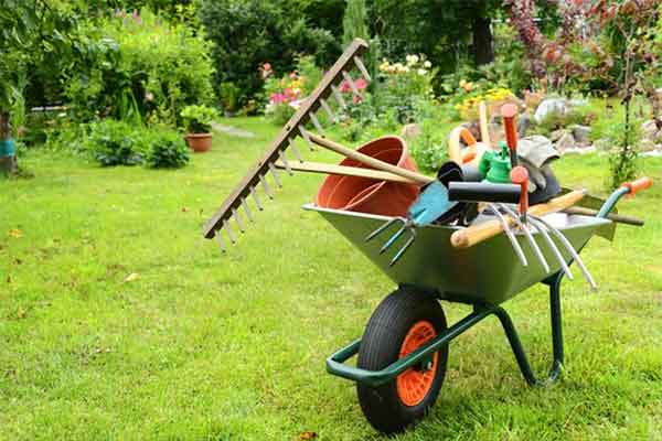 A wheelbarrow filled with essential gardening tools.