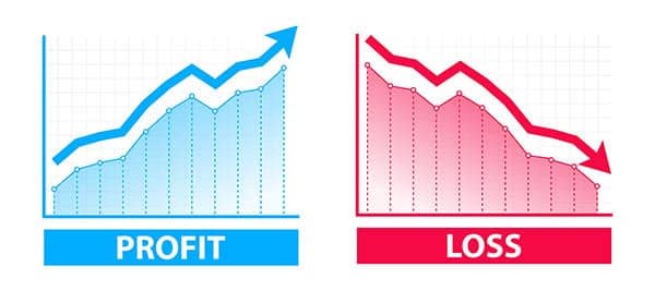 Understanding the profit and loss account P&L.