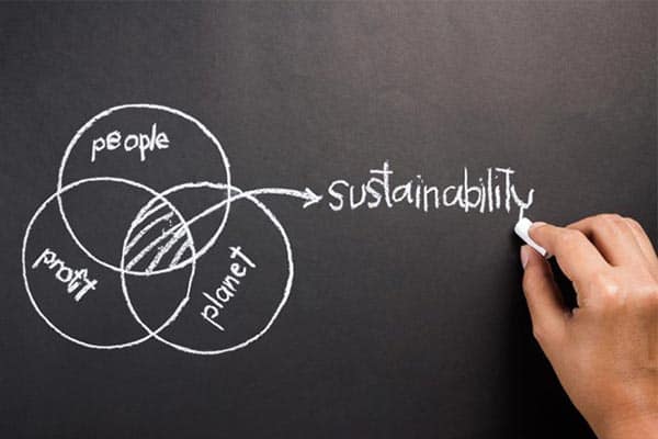 A business owner drawing a diagram depicting sustainability on a chalkboard