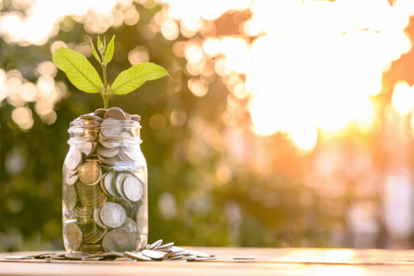 A glass jar filled with coins with a green stem coming out of the top