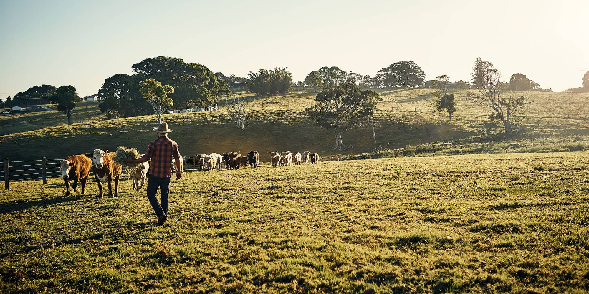 Farm and Ranch Insurance | Markel
