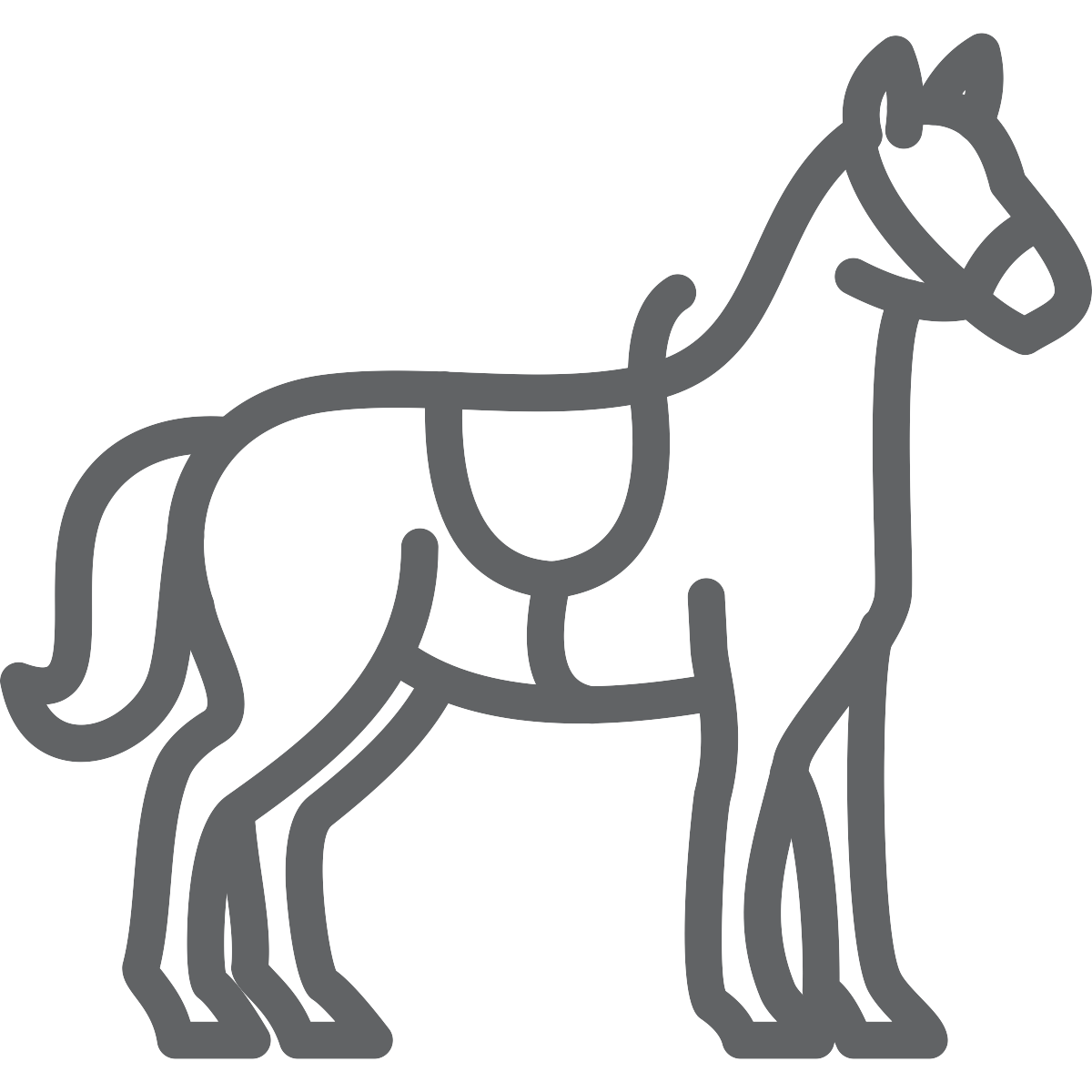 horse