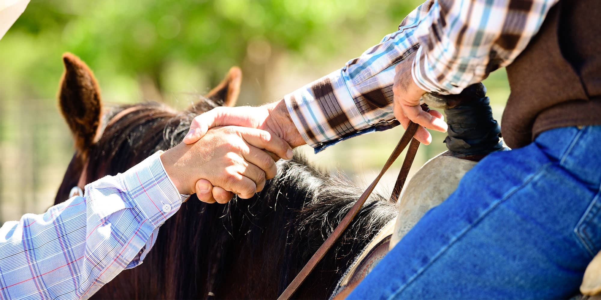 Horse and Farm Insurance Markel