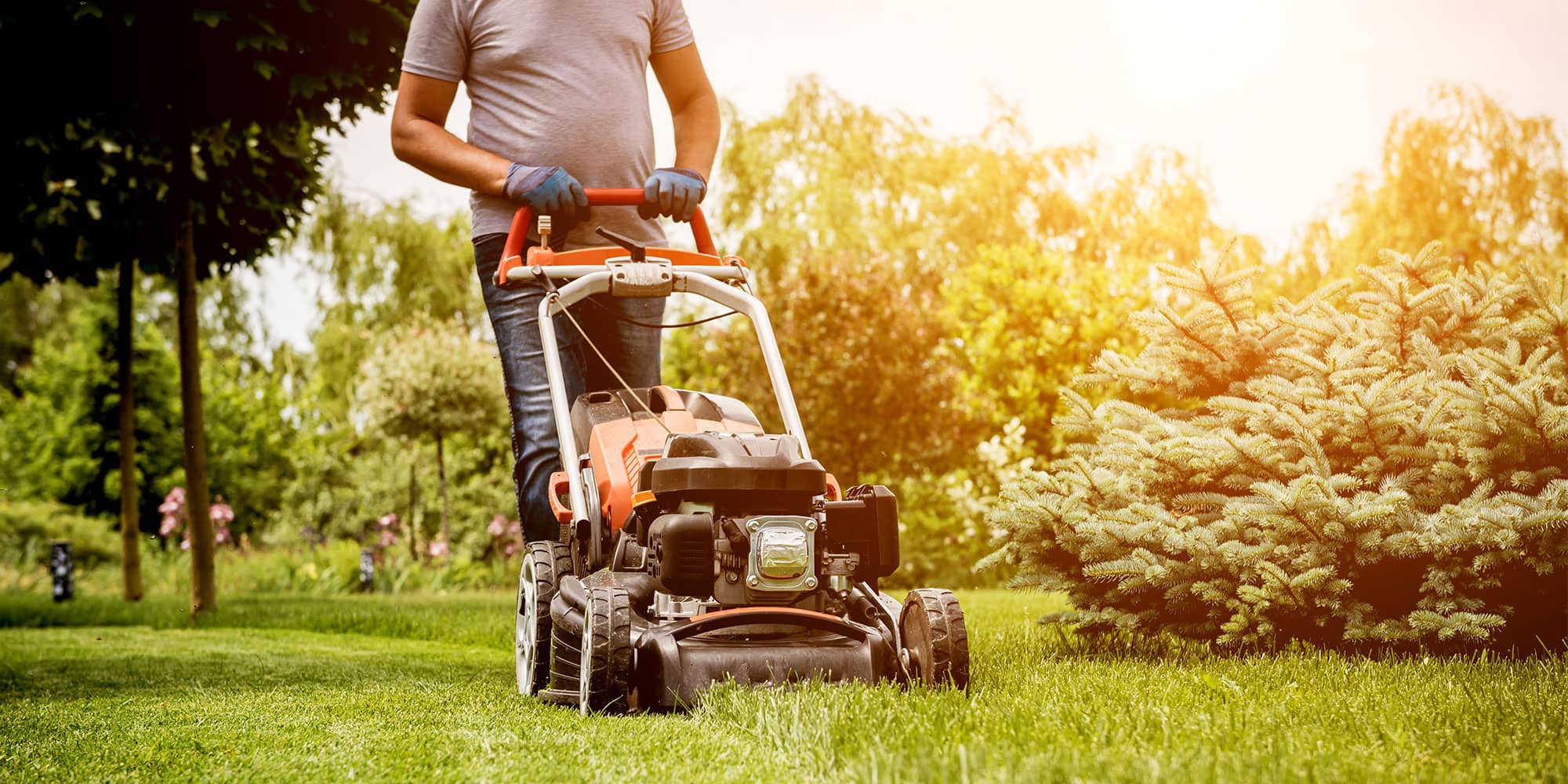 Pest Control Insurance Markel