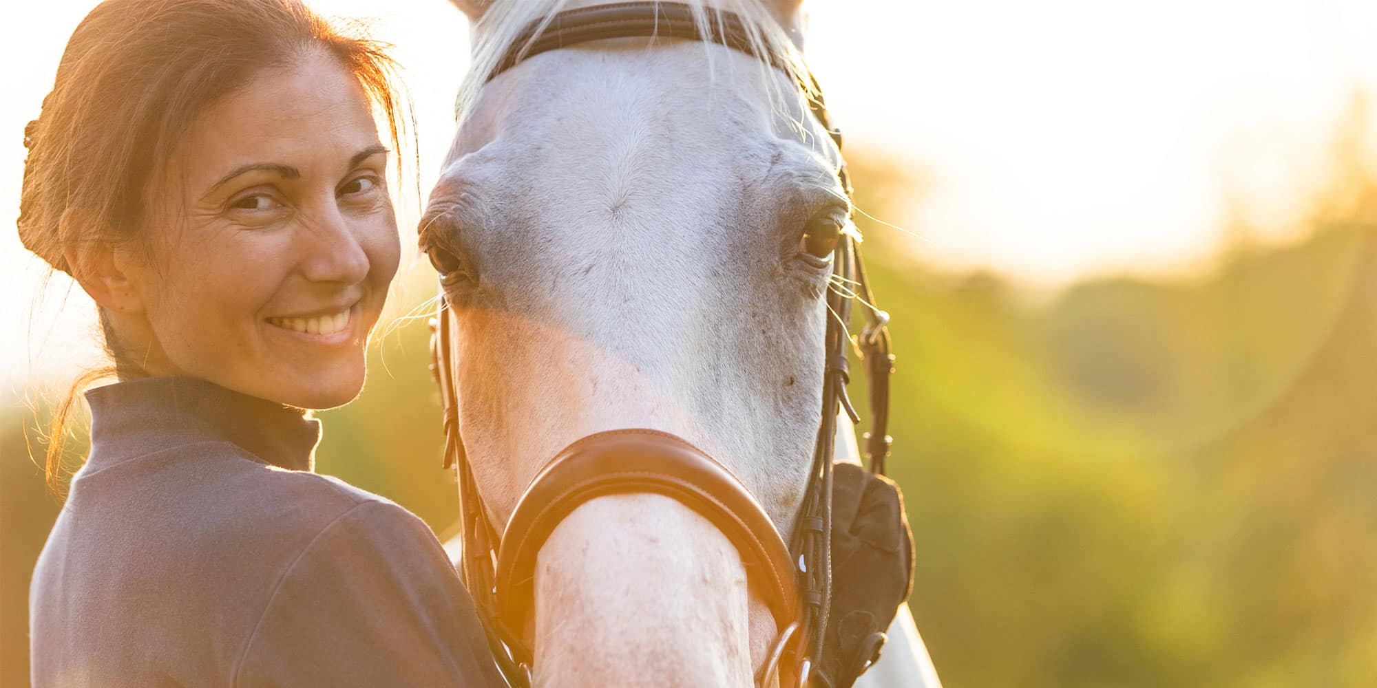 Private Horse Owner Insurance Markel