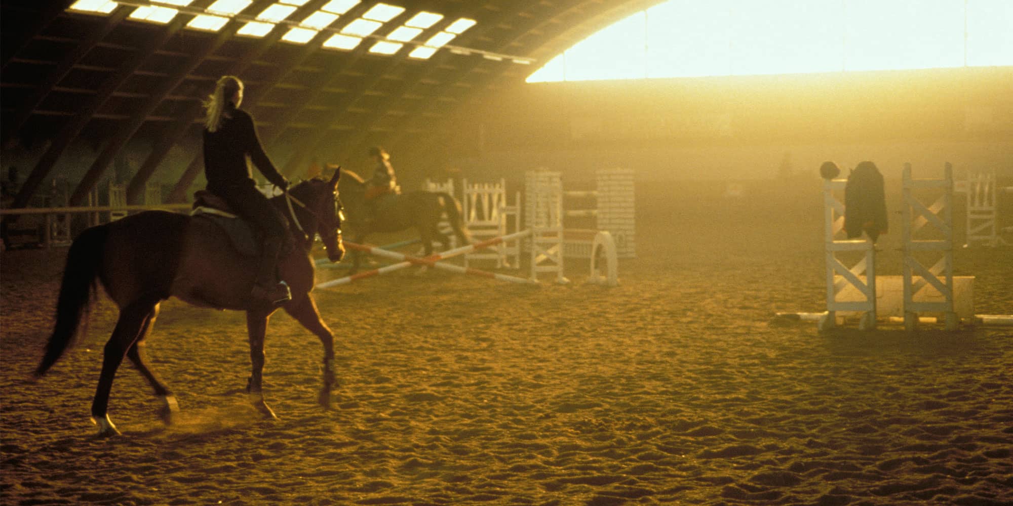 Horse Farm and Ranch Insurance Markel