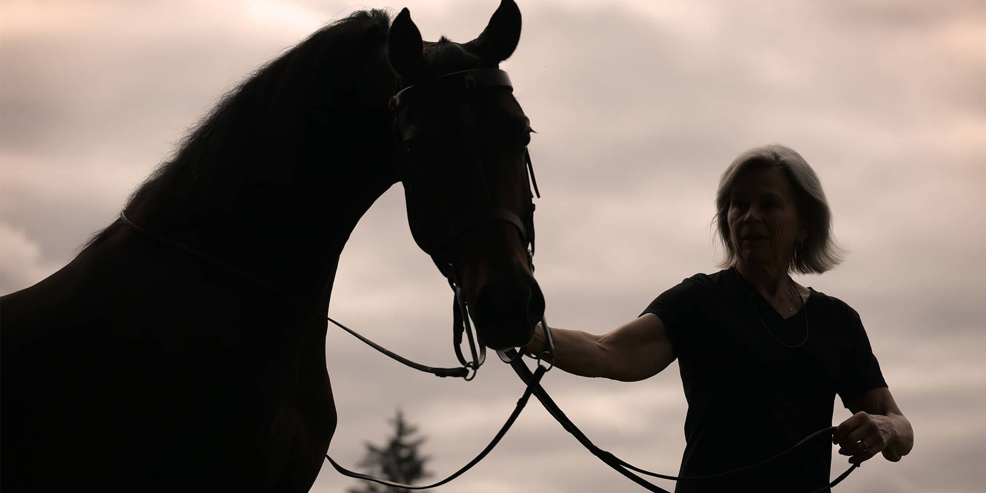 Riding Instructor and Horse Trainer Insurance Markel