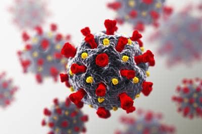 virus