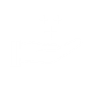 value added services icon