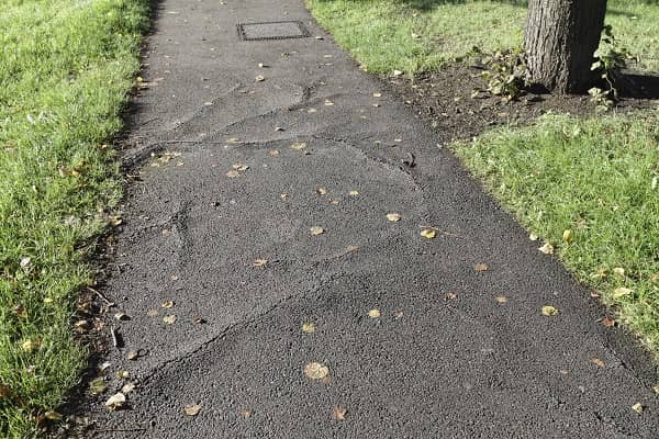 Tree roots cracks damage on sidewalk