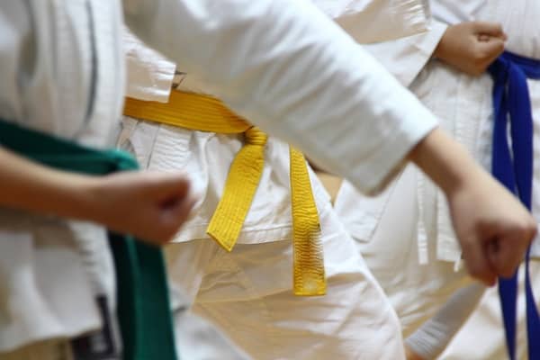 Karate kids in line