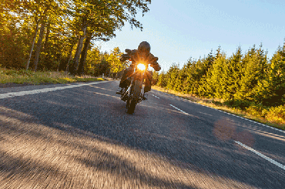 Driving motorcycle down road lined with trees