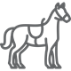horse