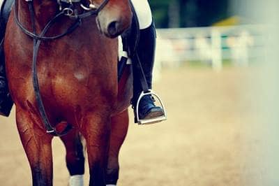 General liability horse insurance