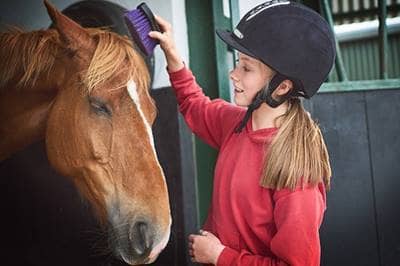 Safety at Equestrian facilities