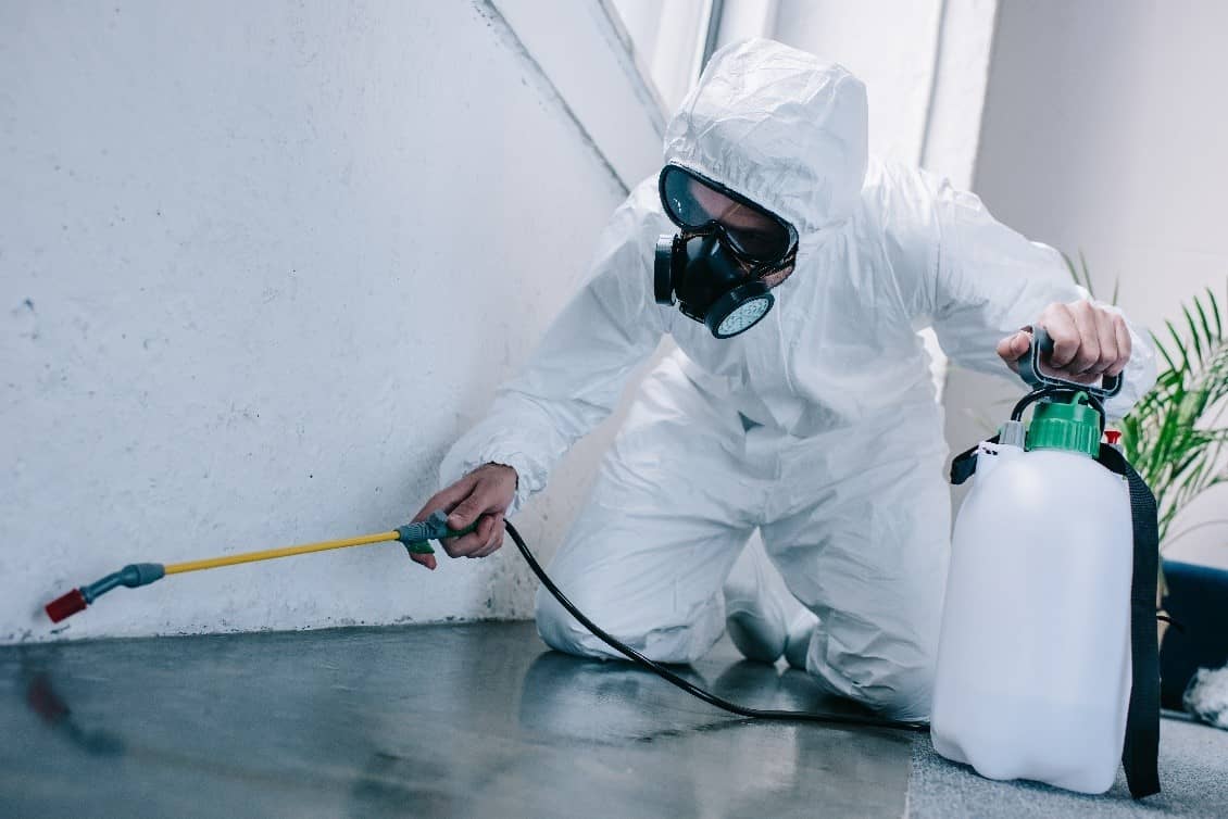 Lessons from losses pest control worker safety