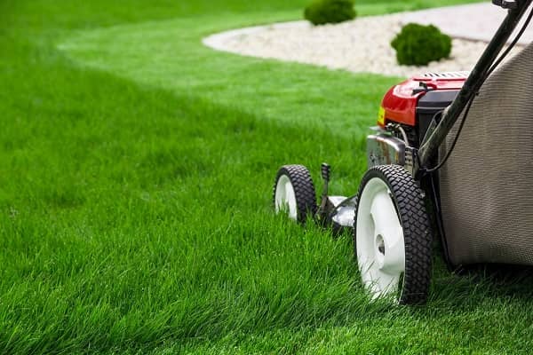 Lawn mower equipment