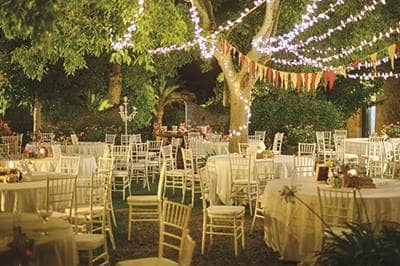 Outdoor reception with lights in trees
